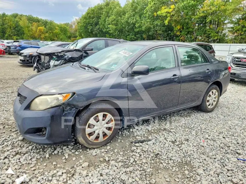 2009 Toyota COROLLA photo