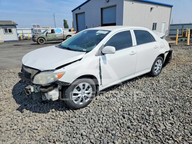 2009 Toyota COROLLA фото
