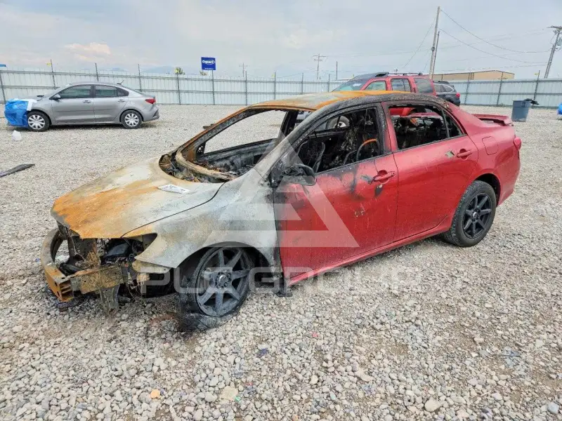 2009 Toyota COROLLA photo