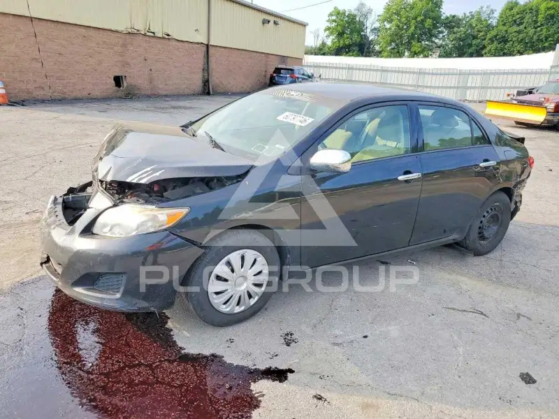 2009 Toyota COROLLA photo