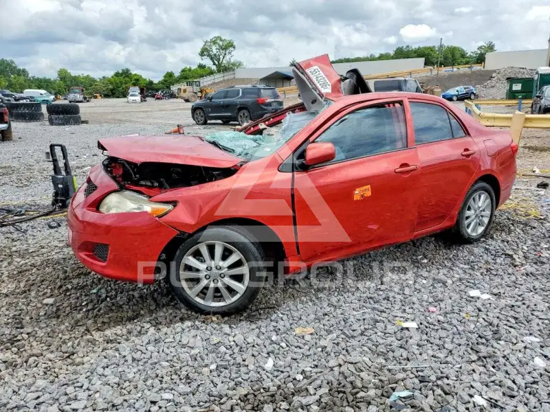 2009 Toyota COROLLA photo