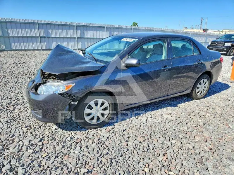 2009 Toyota COROLLA photo