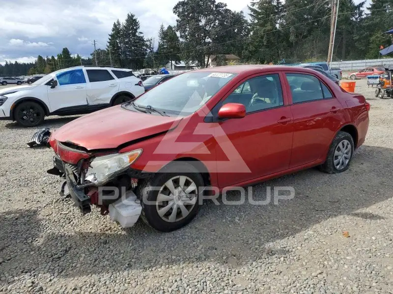 2009 Toyota COROLLA photo