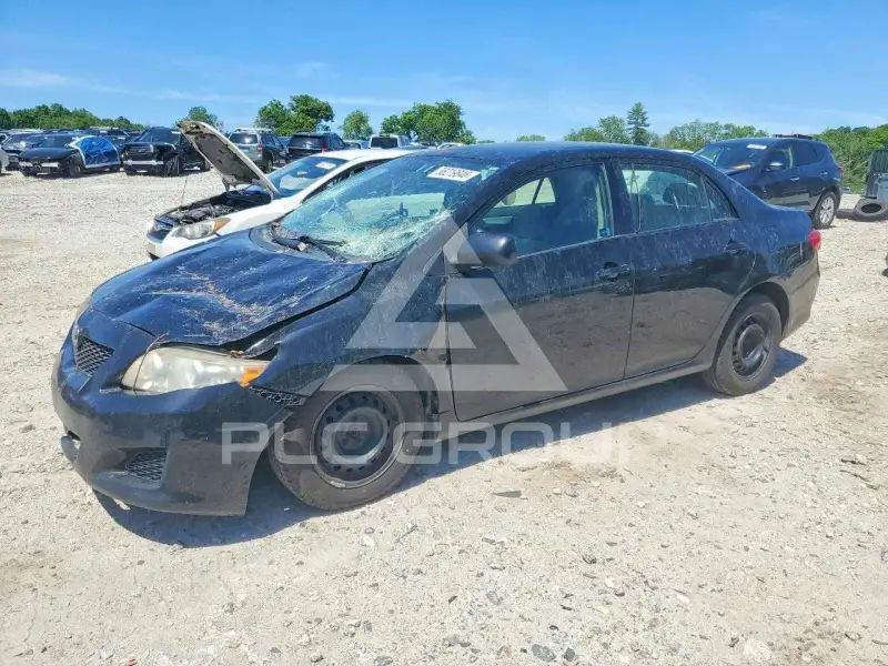 2009 Toyota COROLLA photo