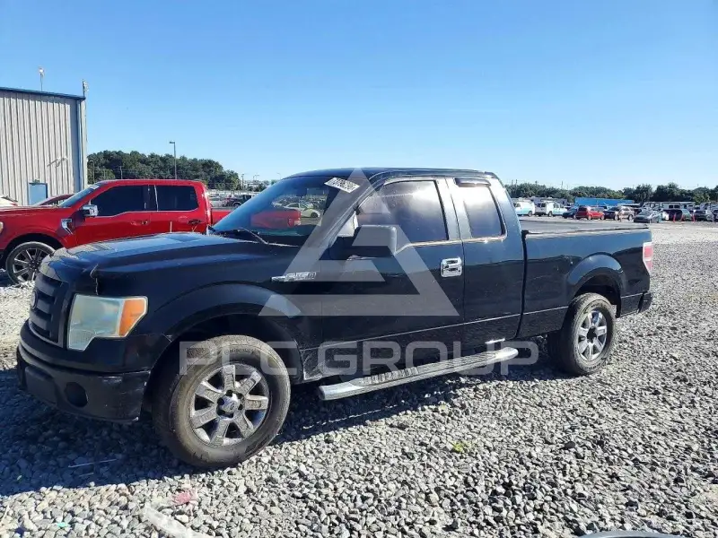 2009 Ford F-150 photo
