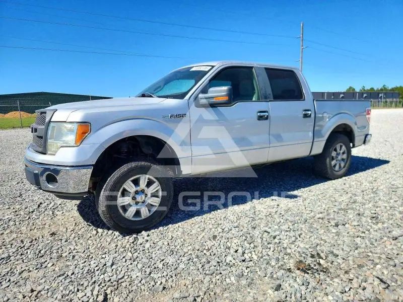 2009 Ford F-150 фото