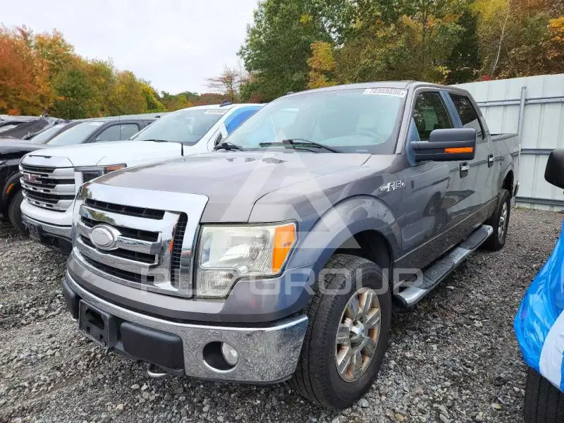2009 Ford F-150 фото