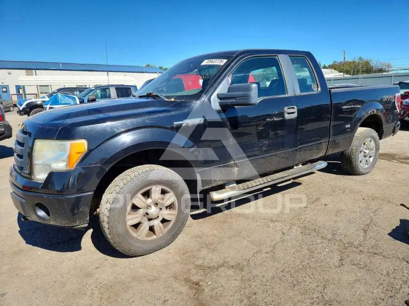 2009 Ford F-150 фото