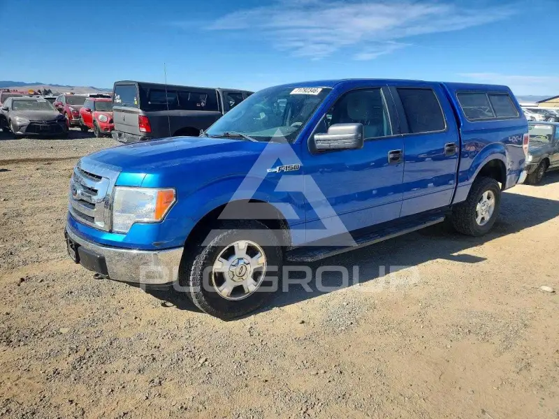 2009 Ford F-150 фото