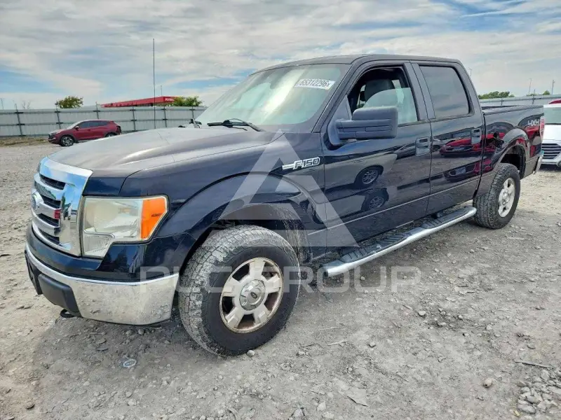 2009 Ford F-150 photo