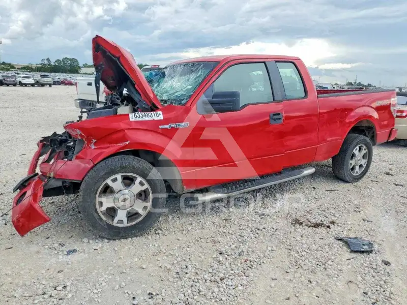 2009 Ford F-150 photo