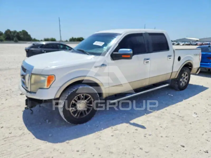 2009 Ford F-150 photo