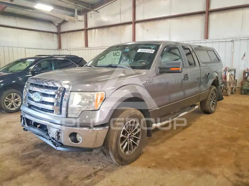 2009 Ford F-150 photo