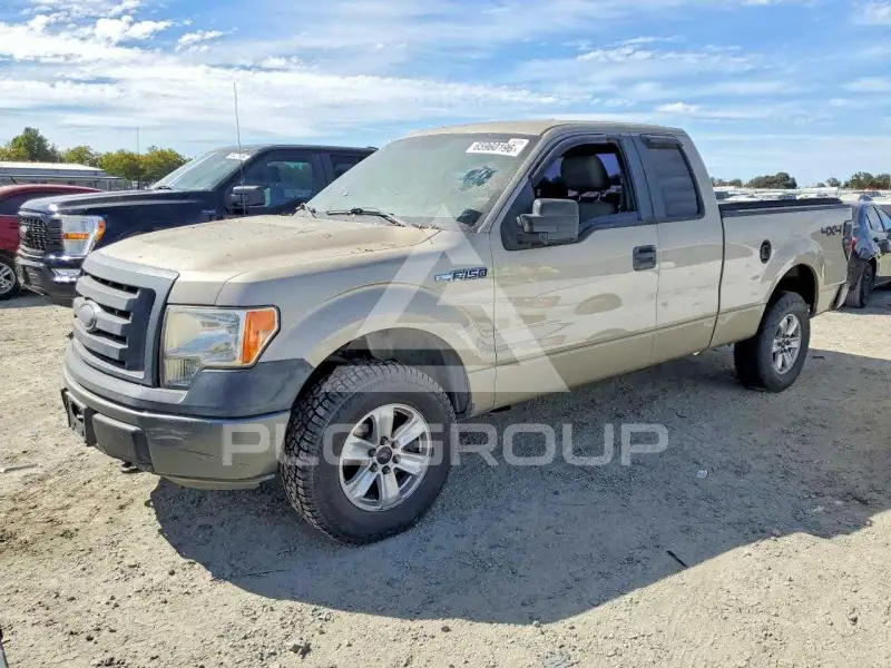 2009 Ford F-150 photo