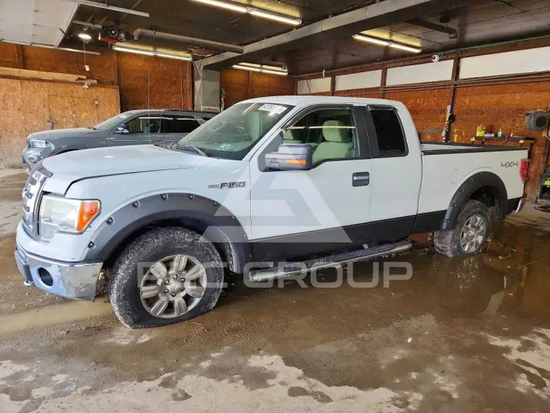 2009 Ford F-150 photo