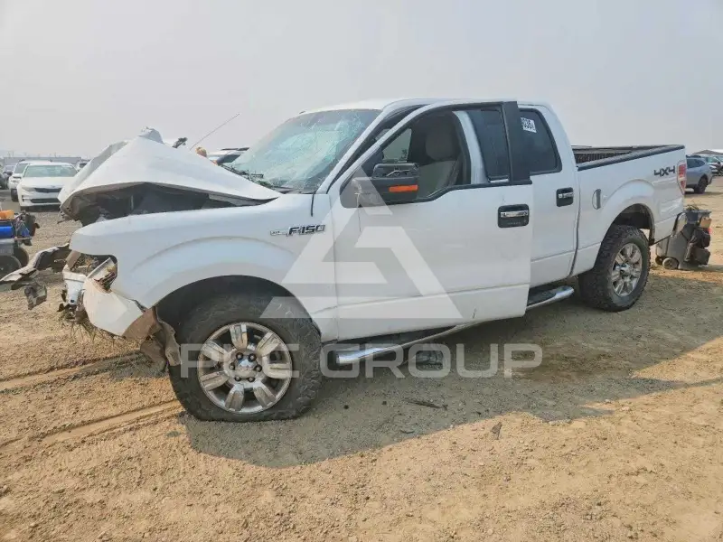 2009 Ford F-150 photo