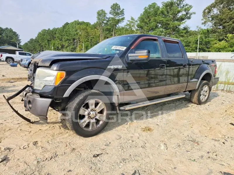2009 Ford F-150 фото