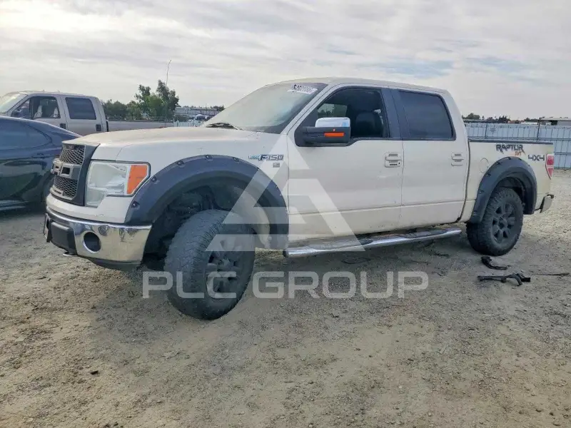 2009 Ford F-150 photo