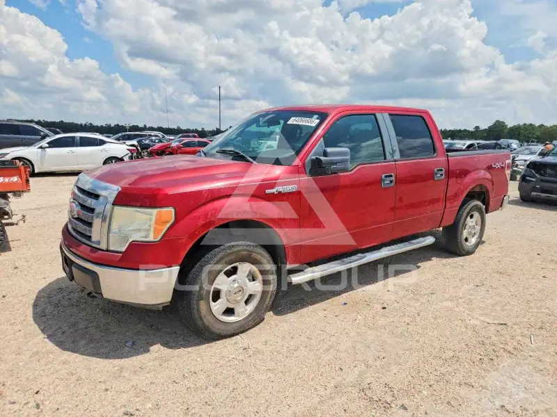 2009 Ford F-150 photo