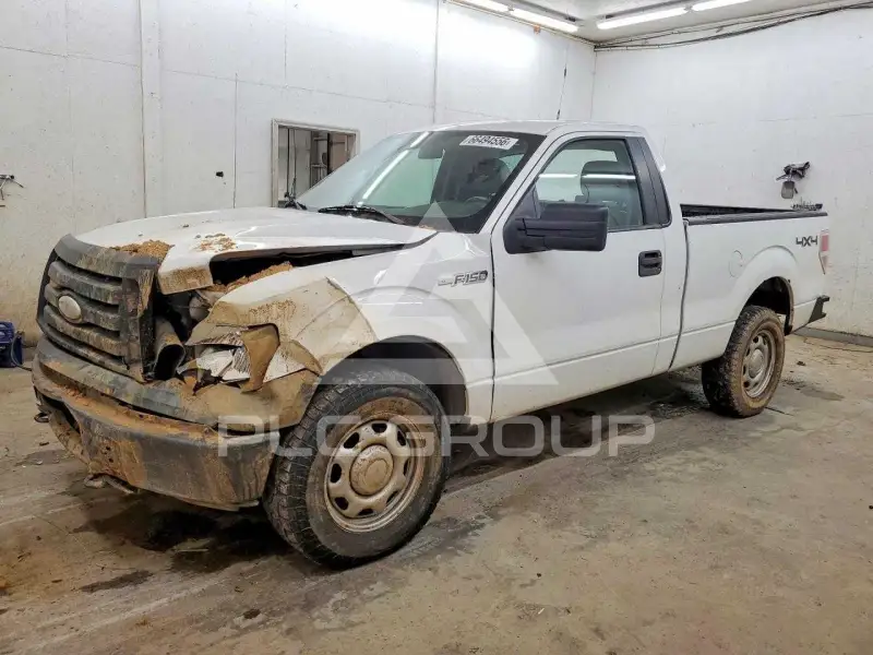 2009 Ford F-150 фото