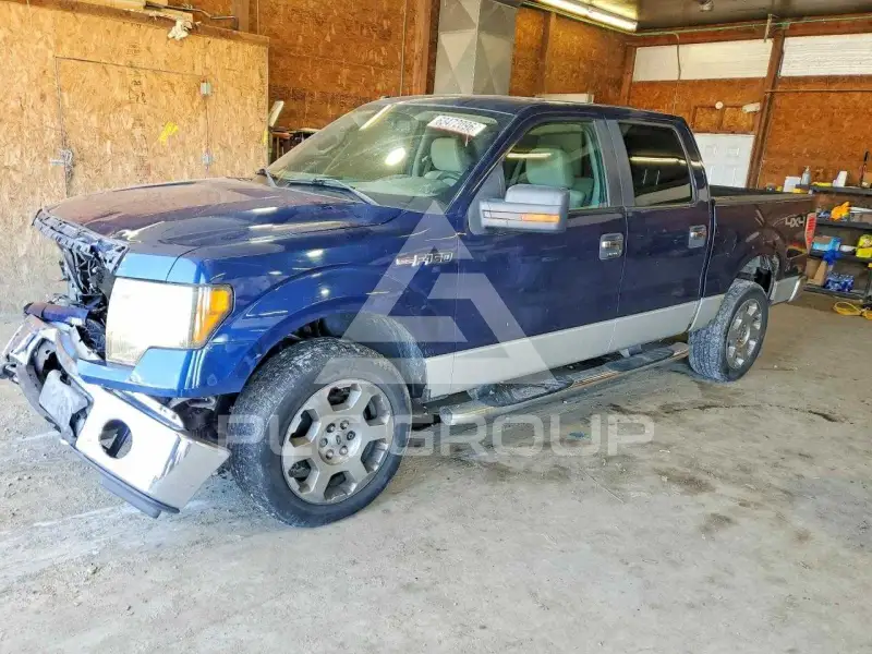2009 Ford F-150 фото