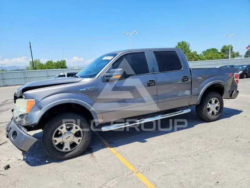 2009 Ford F-150 фото