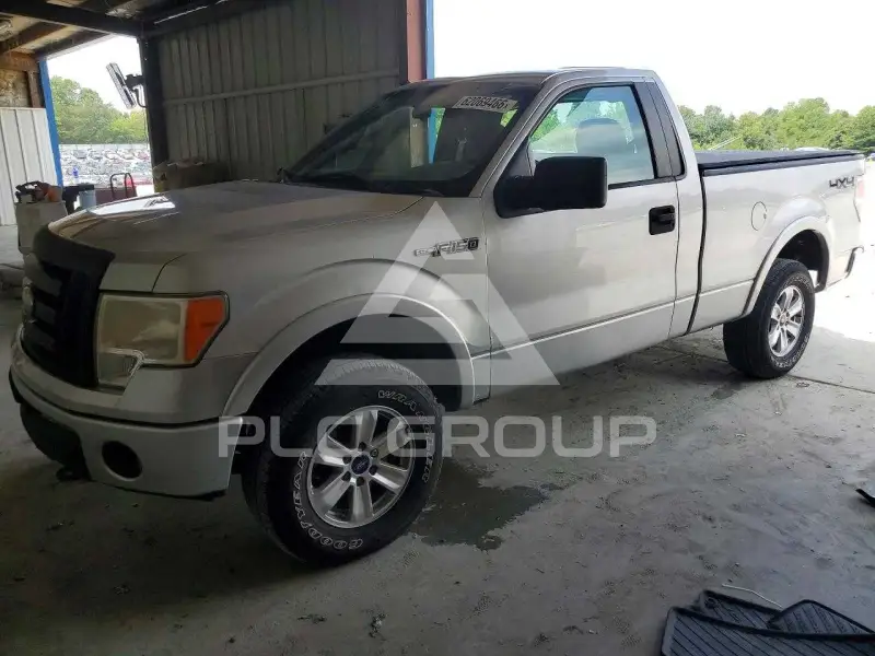 2009 Ford F-150 фото