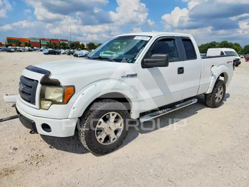 2009 Ford F-150 photo