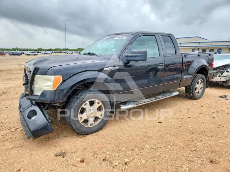 2009 Ford F-150 photo