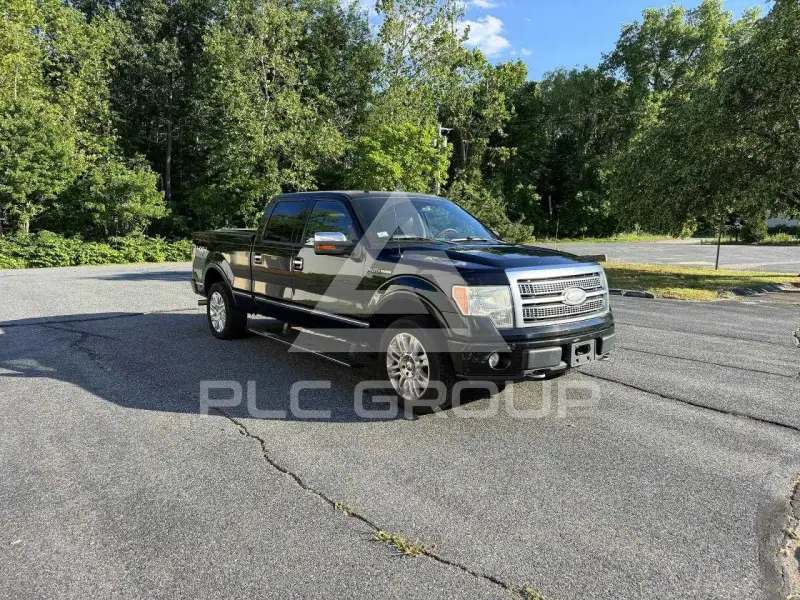 2009 Ford F-150 photo
