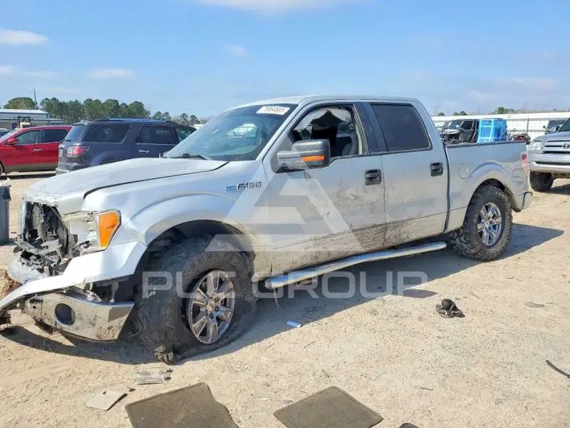 2009 Ford F-150 photo