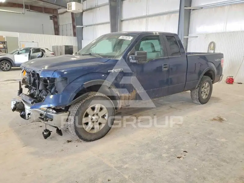 2009 Ford F-150 photo