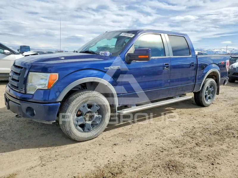 2009 Ford F-150 фото