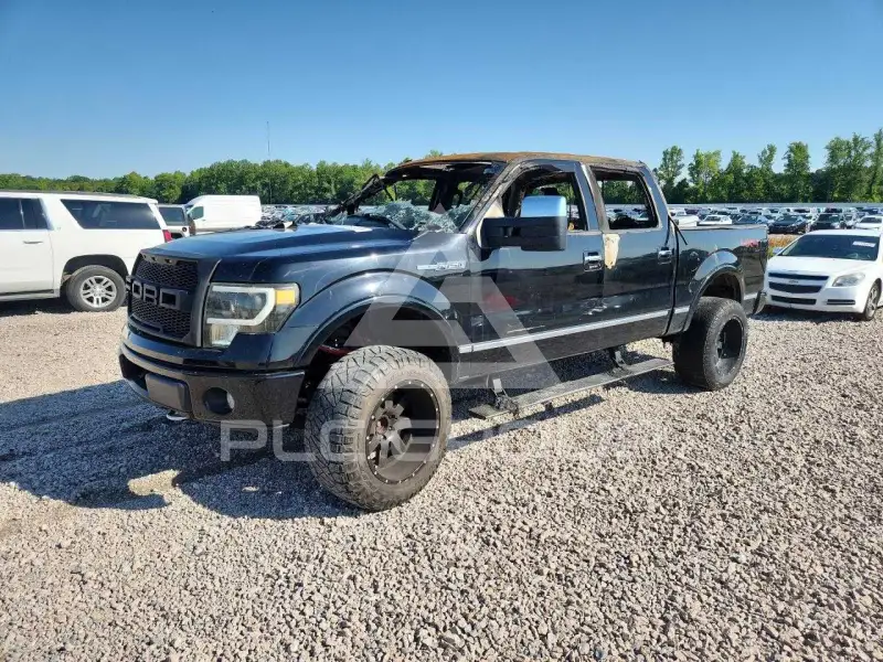 2009 Ford F-150 фото