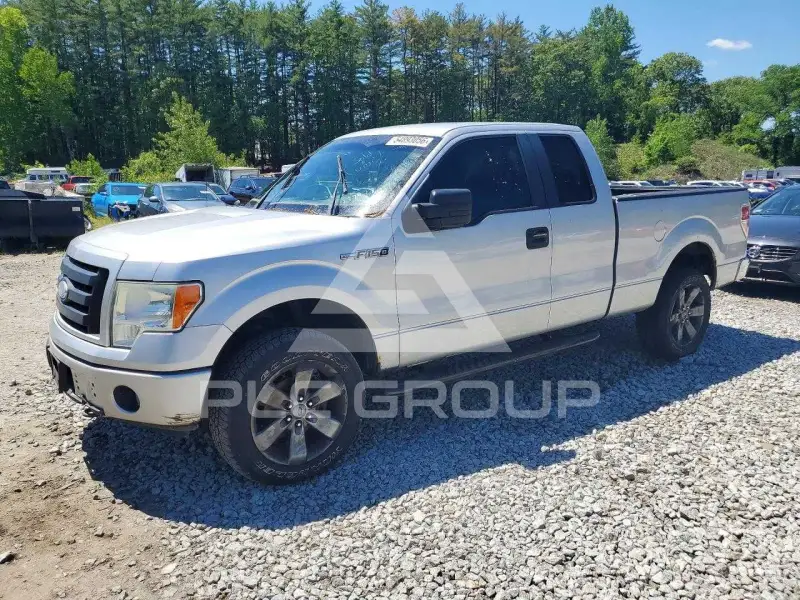 2009 Ford F-150 photo