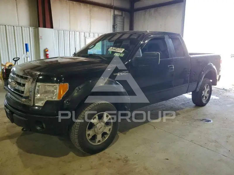 2009 Ford F-150 фото
