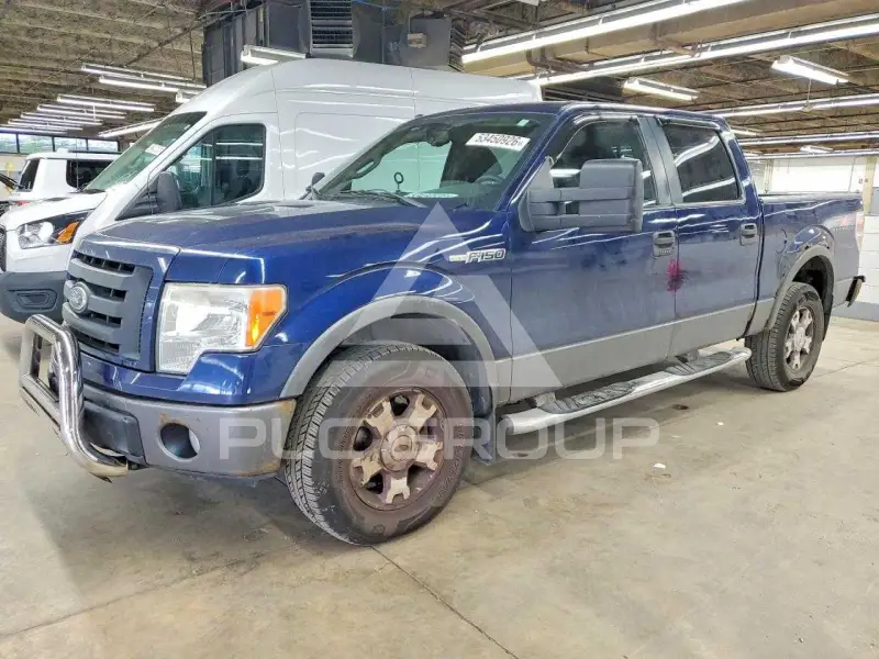 2009 Ford F-150 фото