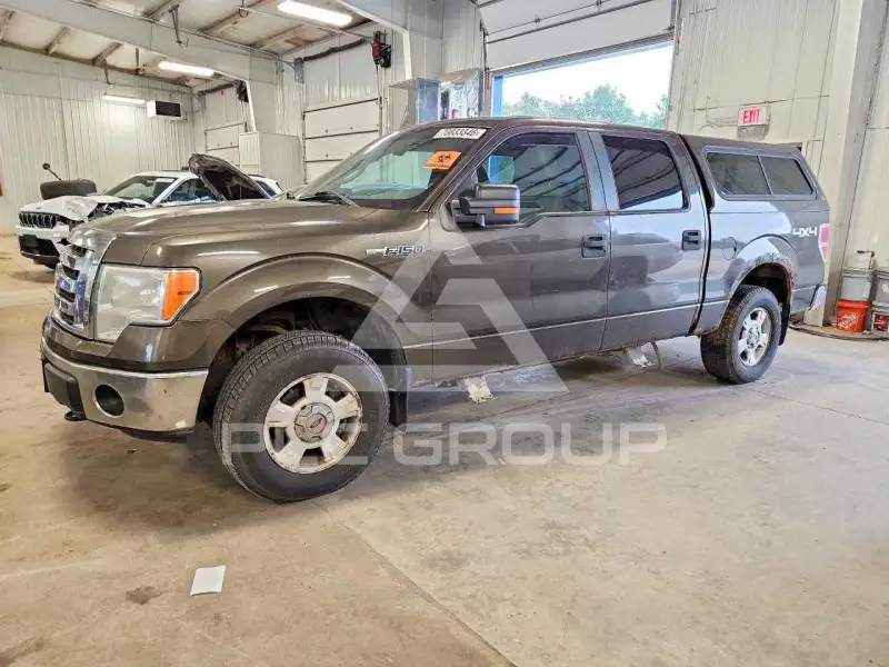 2009 Ford F-150 photo