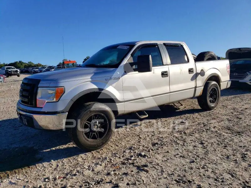2009 Ford F-150 photo