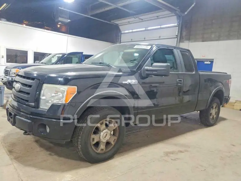 2009 Ford F-150 фото