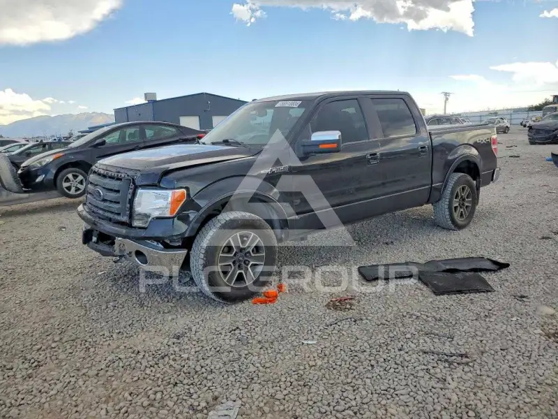 2009 Ford F-150 photo