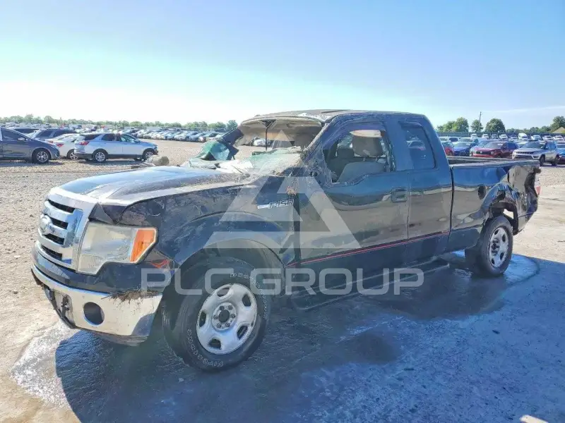 2009 Ford F-150 фото
