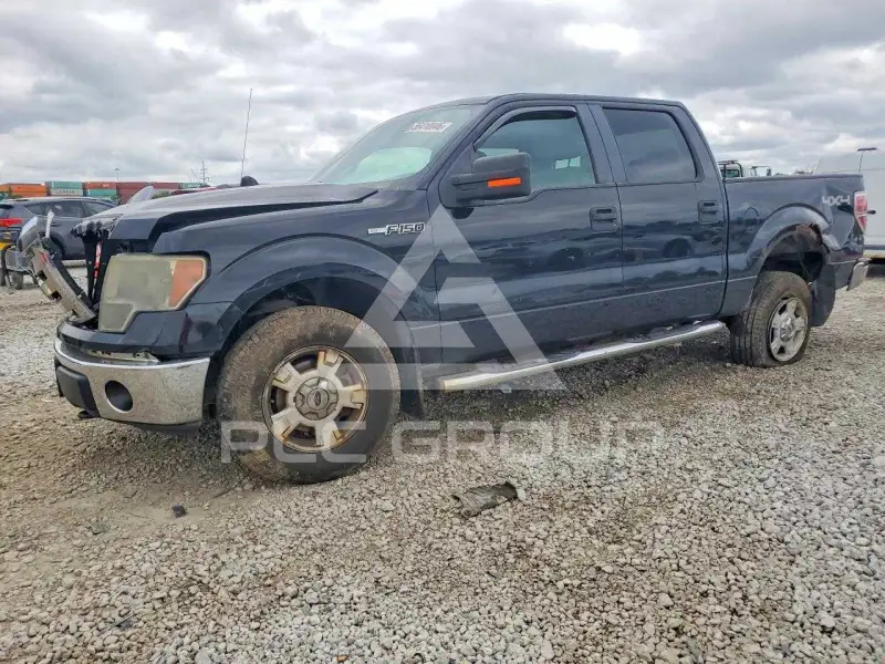 2009 Ford F-150 photo