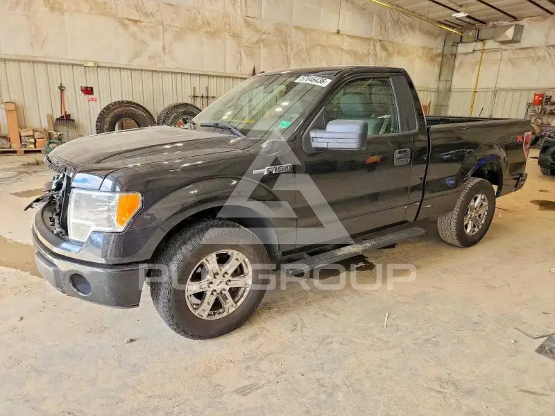 2009 Ford F-150 фото