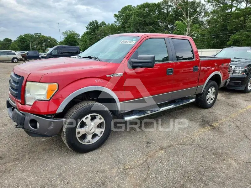 2009 Ford F-150 photo
