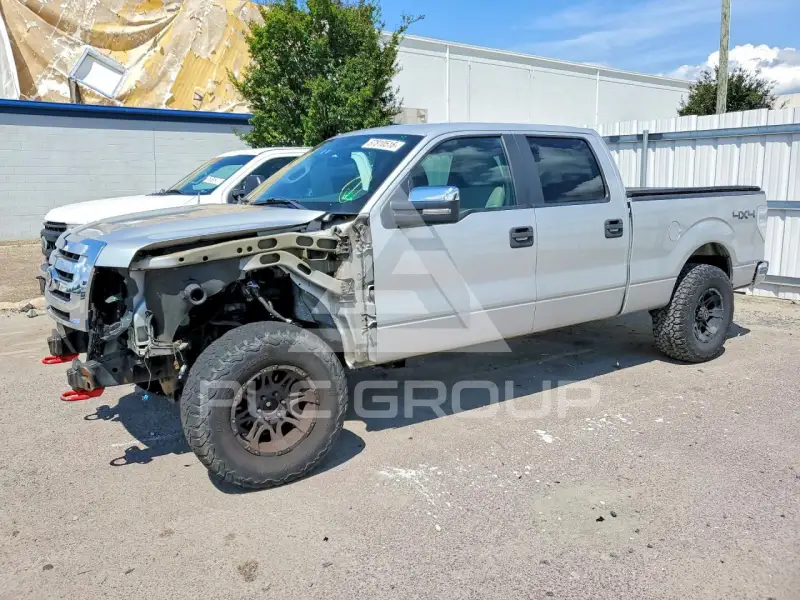 2009 Ford F-150 photo