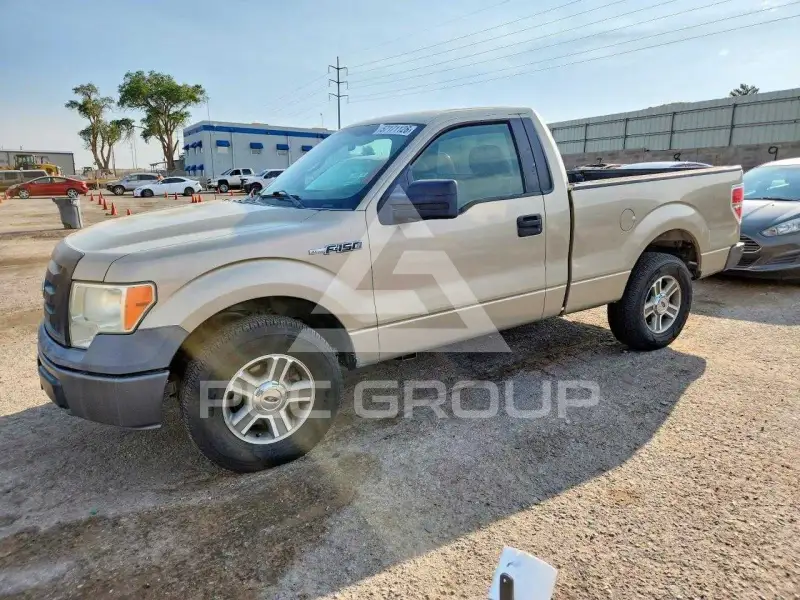 2009 Ford F-150 photo