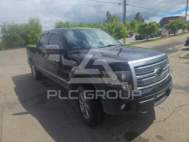 2009 Ford F-150 фото