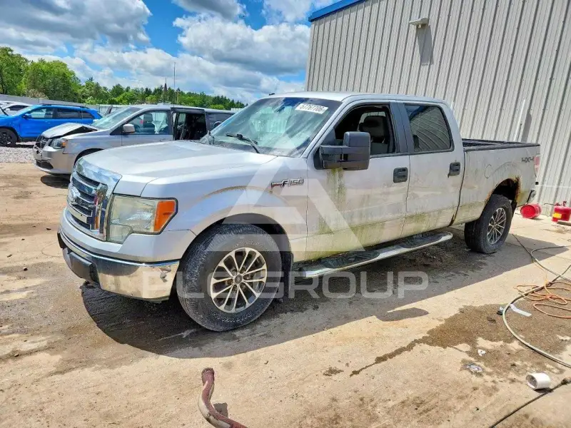 2009 Ford F-150 фото