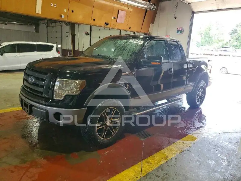 2009 Ford F-150 photo